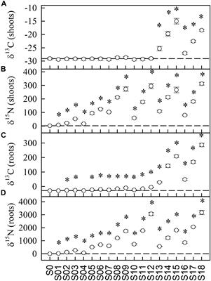 Organic Nitrogen Uptake and Assimilation in Cucumis sativus Using Position-Specific Labeling and Compound-Specific Isotope Analysis